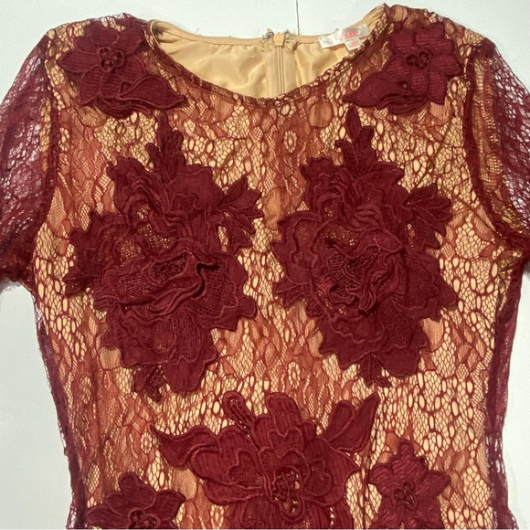 Luxxel Maroon Sheer Net Embroidered Floral Bodycon Dress With Nude Bodysuit M - Picture 6 of 15